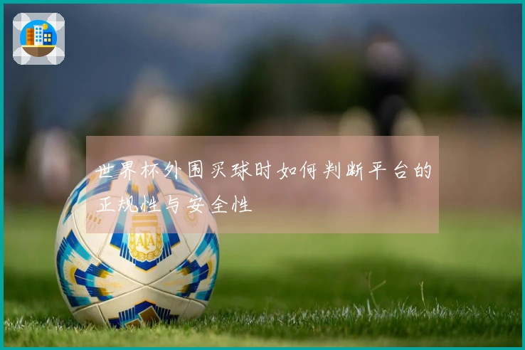 世界杯外围买球时如何判断平台的正规性与安全性