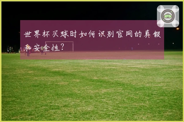 世界杯买球时如何识别官网的真假和安全性？