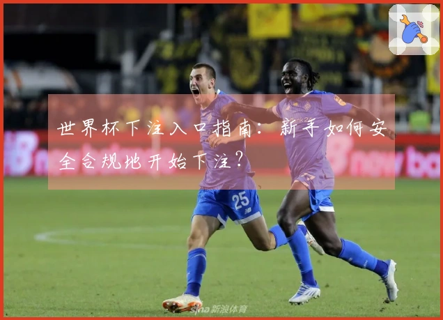 世界杯下注入口指南：新手如何安全合规地开始下注？