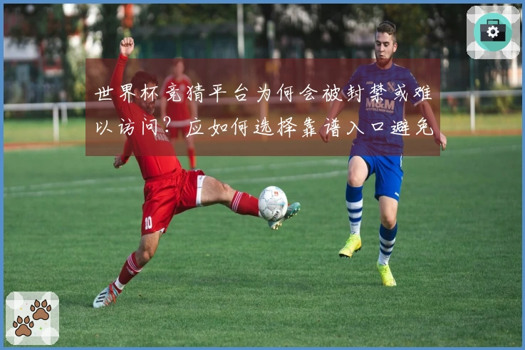 世界杯竞猜平台为何会被封禁或难以访问？应如何选择靠谱入口避免踩坑