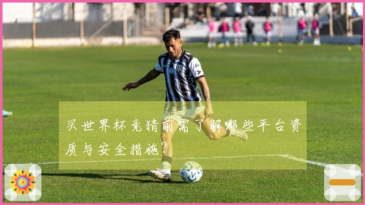 买世界杯竞猜前需了解哪些平台资质与安全措施？