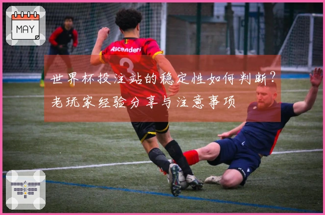 世界杯投注站的稳定性如何判断？老玩家经验分享与注意事项