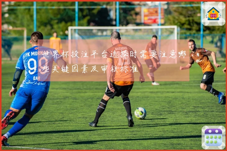 世界杯投注平台选择时需要注意哪些关键因素及审核标准